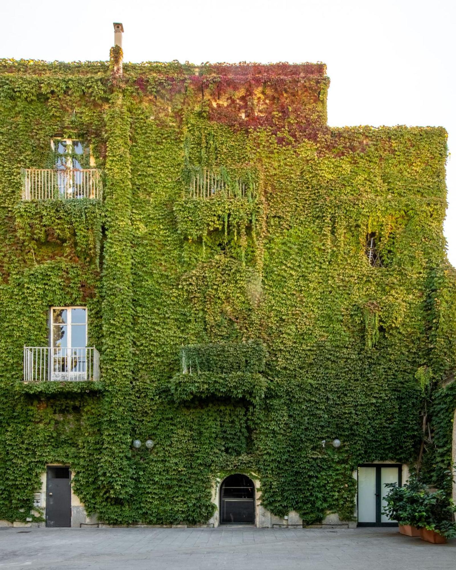 Palazzo De Gregorio Apartments Palermo Zewnętrze zdjęcie